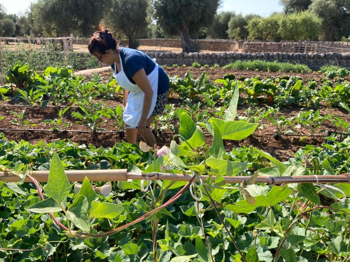 Boutique Hotel Masseria Sottomasi Savelletri Bagian luar foto