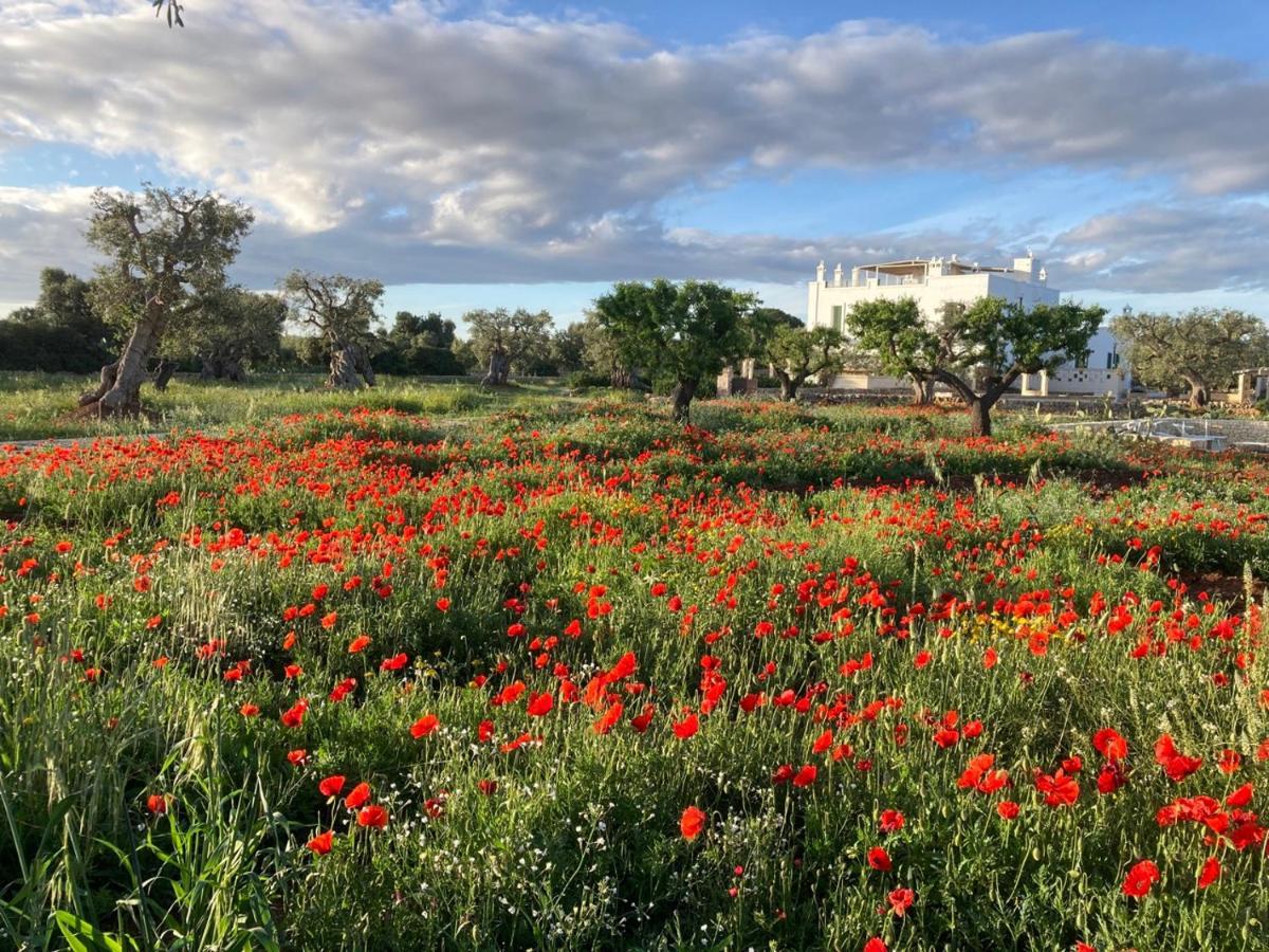 Boutique Hotel Masseria Sottomasi Savelletri Bagian luar foto