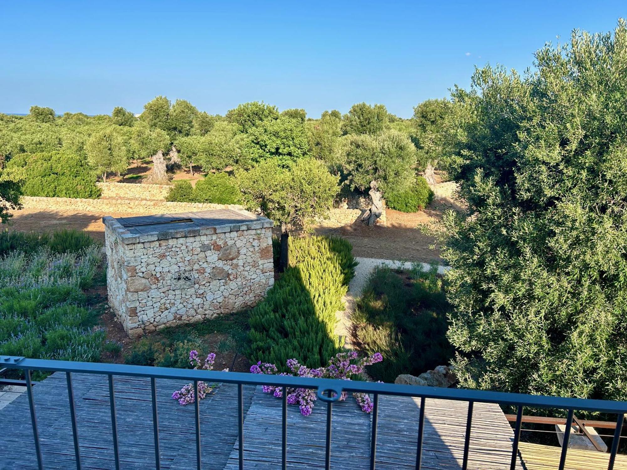 Boutique Hotel Masseria Sottomasi Savelletri Bagian luar foto