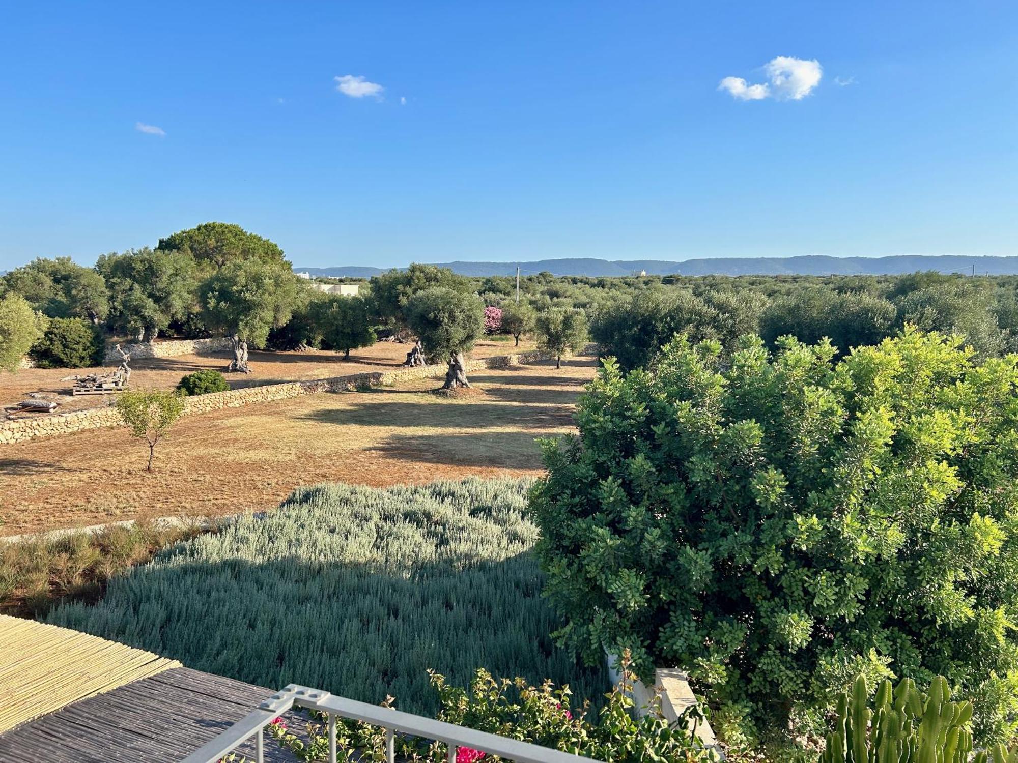 Boutique Hotel Masseria Sottomasi Savelletri Bagian luar foto
