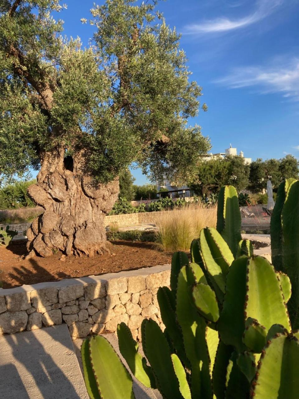 Boutique Hotel Masseria Sottomasi Savelletri Bagian luar foto