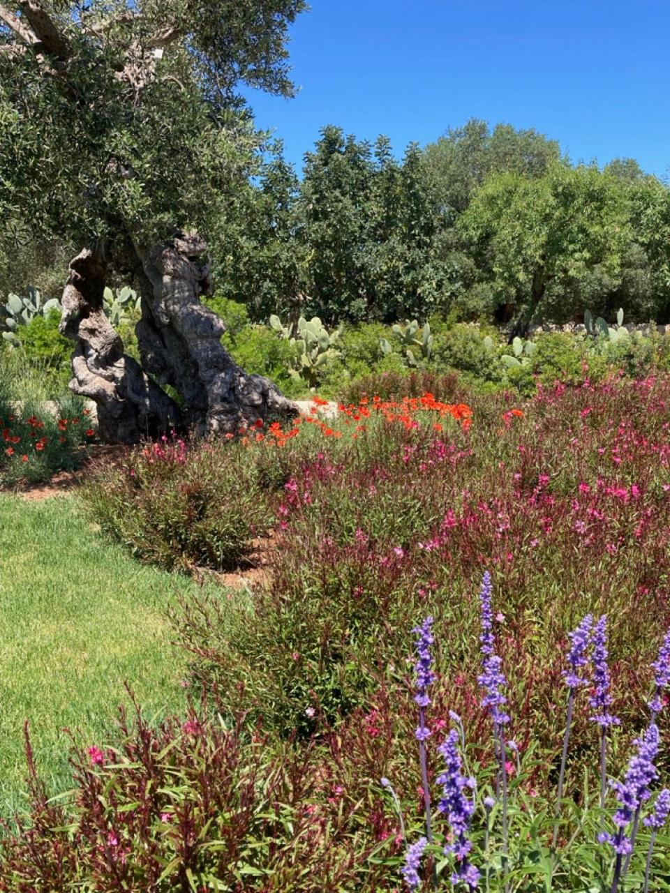 Boutique Hotel Masseria Sottomasi Savelletri Bagian luar foto