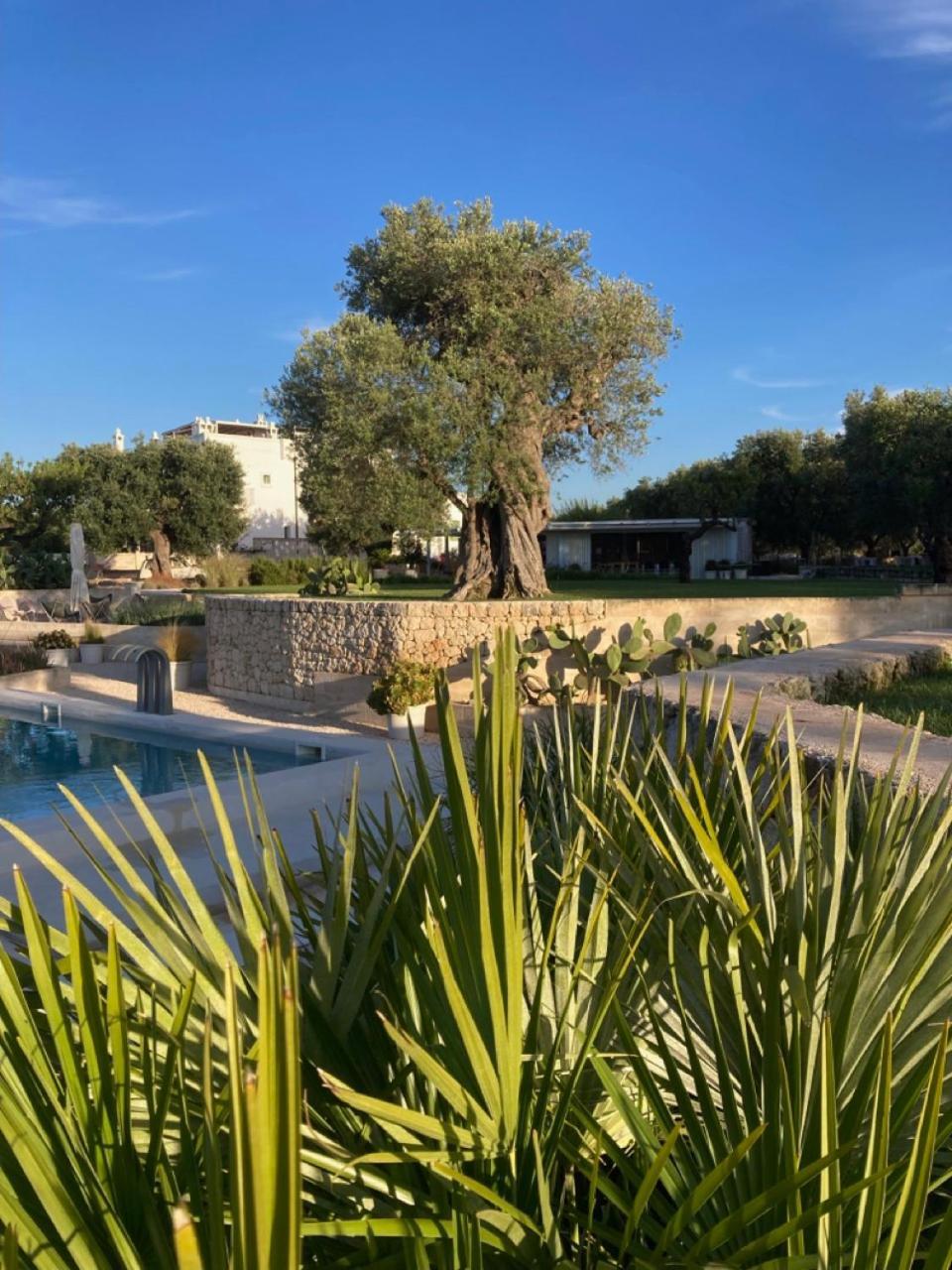 Boutique Hotel Masseria Sottomasi Savelletri Bagian luar foto